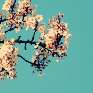 巨人蹂躏H粗暴3d
